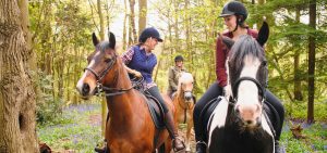 3 females on horses riding through the forest